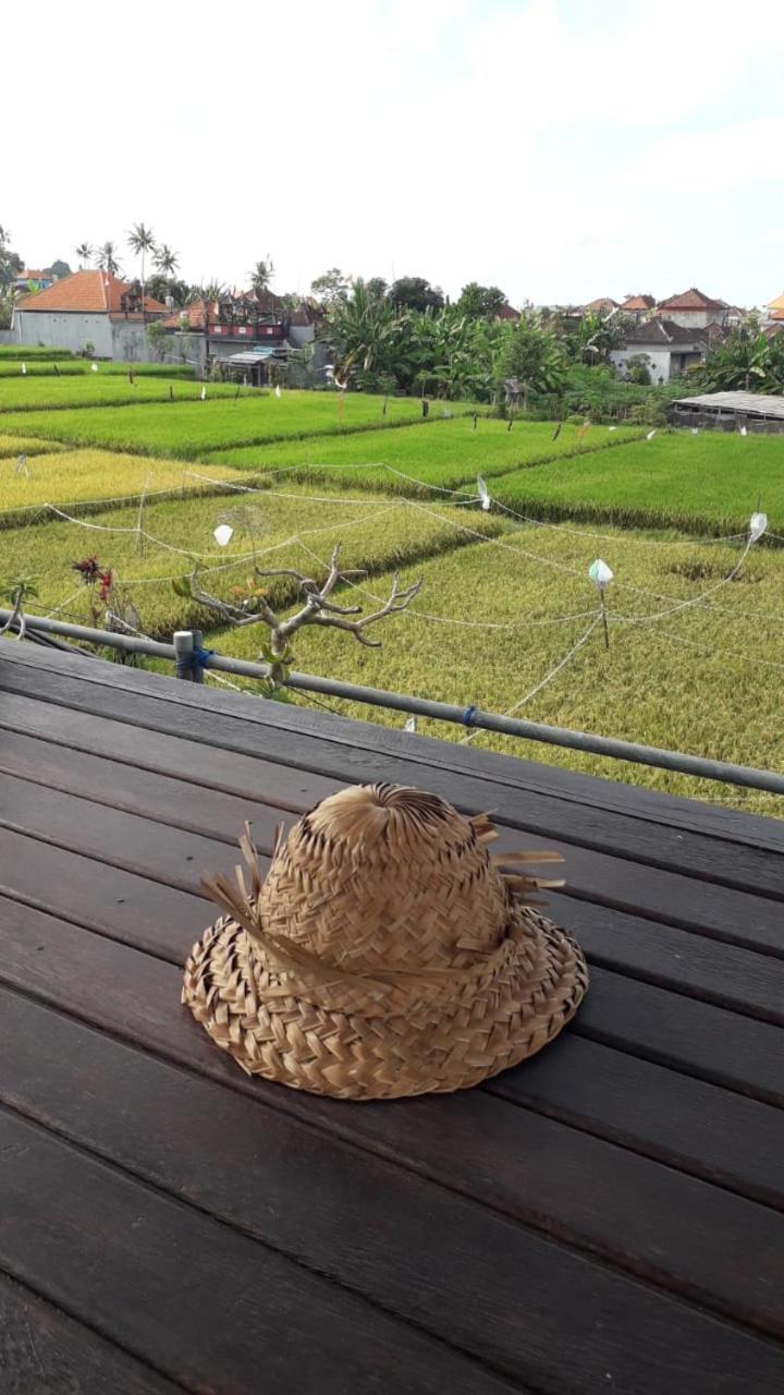 D'Sari Undisan Houses Bangli Bagian luar foto
